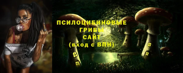 герыч Лиски