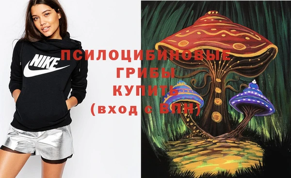 герыч Лиски