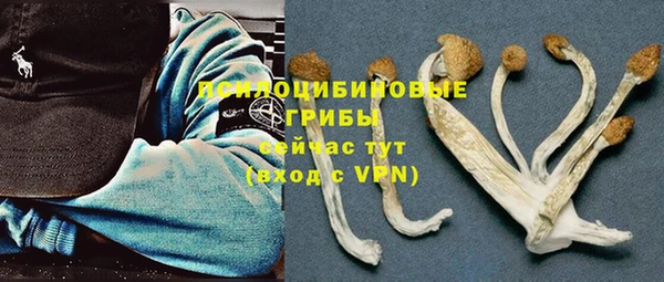 молекула духа Лихославль