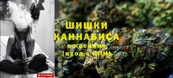 молекула духа Лабытнанги