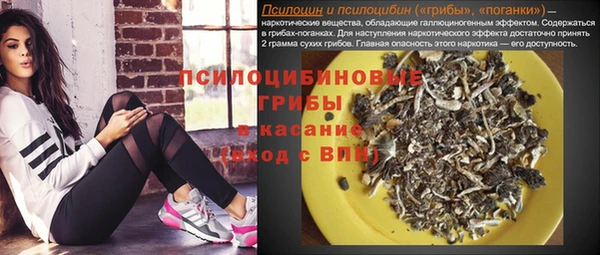 молекула духа Лихославль