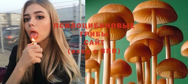 молекула духа Лихославль