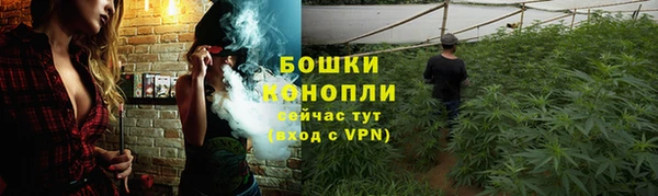 молекула духа Лабытнанги