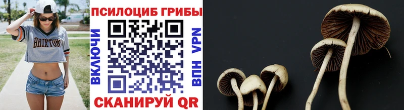 Псилоцибиновые грибы мухоморы  Купить где  Кубинка 